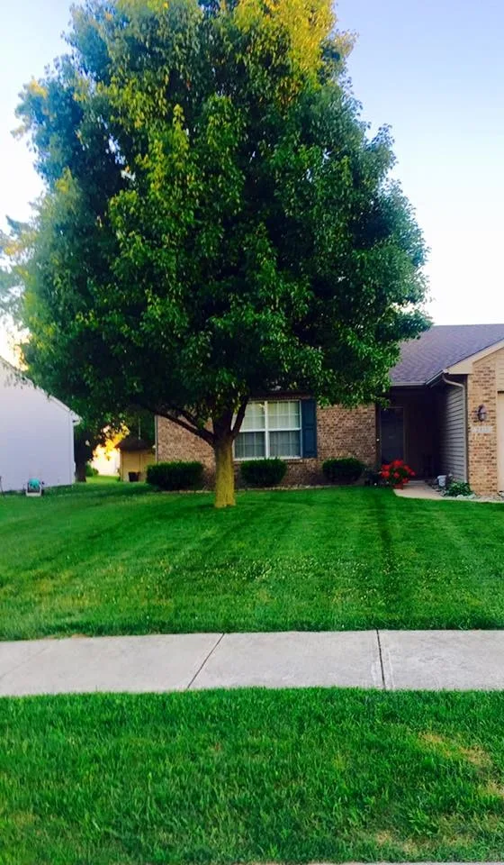 Kevin's Lawn Care Service - Photo 3