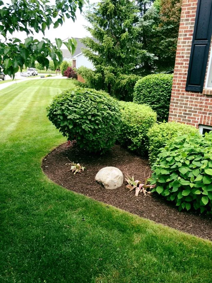 Cut Above The Rest - Photo 7