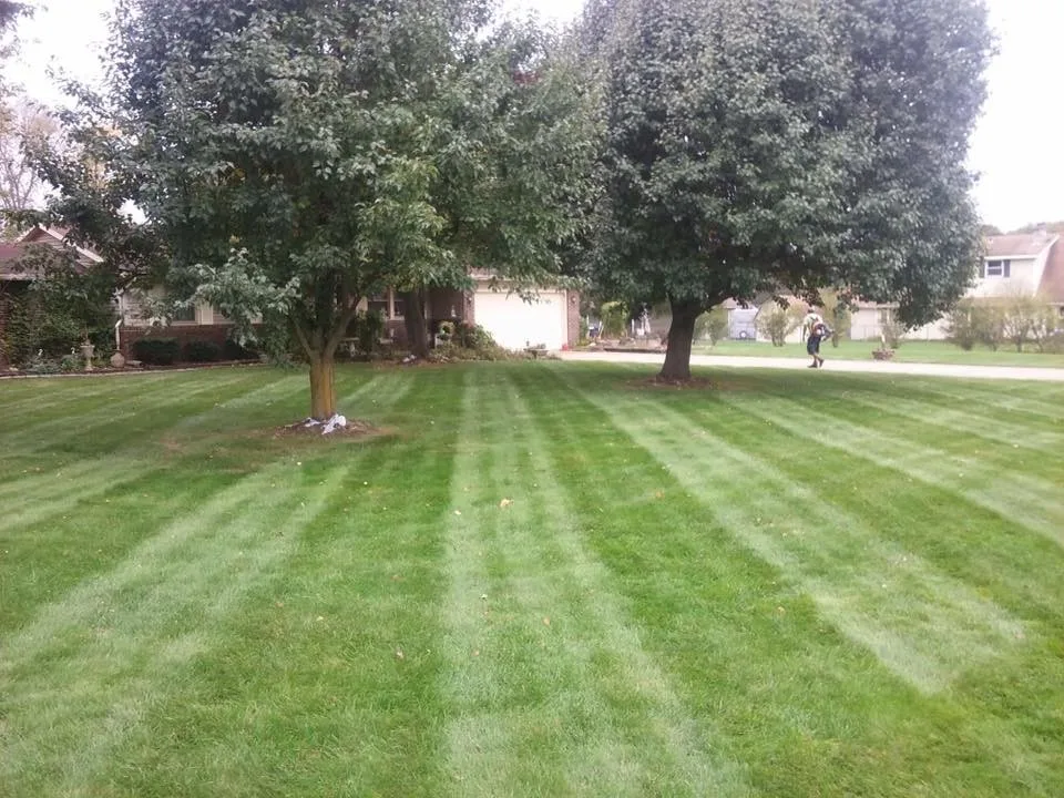 Cut Above The Rest - Photo 2