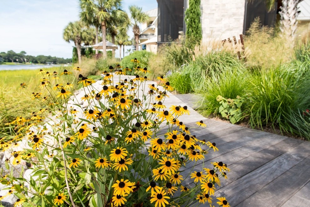 Coastal Contemporary by Carolina Landscape, Inc. - Photo 21