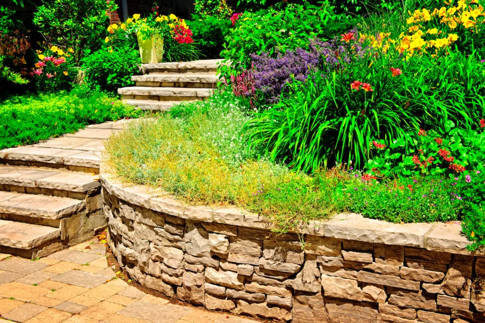 JSJ Lawn Service - Photo 4