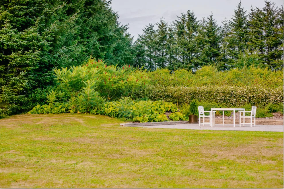 JSJ Lawn Service - Photo 3