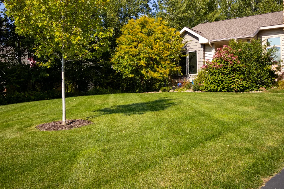 Sod Project by CHS Superior Landscaping - Photo 5