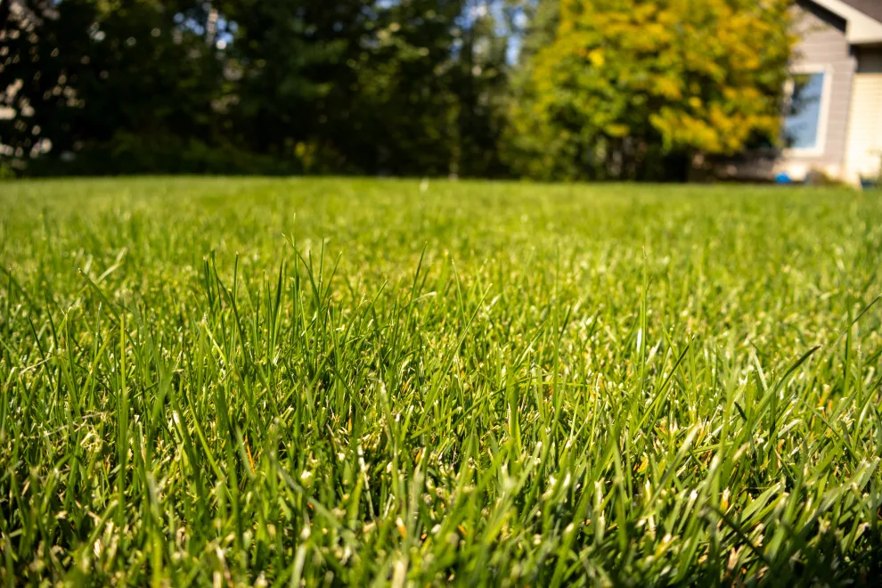 CHS Superior Landscaping - Photo 11