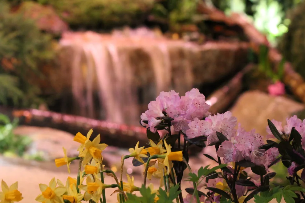 2018 Northwest Flower and Garden Exhibition by Choice Landscapes LLC - Photo 2