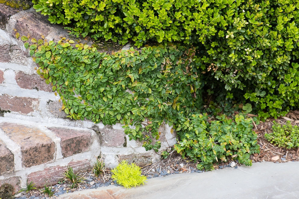Unexpected Mosaic by Carolina Landscape, Inc. - Photo 8