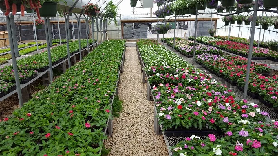 Garden Borders by Twisted Vines Lawn & Landscaping - Photo 6