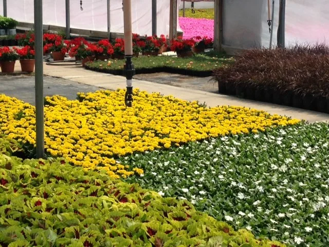 Rowe Landscape Installation, LLC - Photo 5
