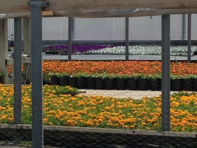 Rowe Landscape Installation, LLC - Photo 10