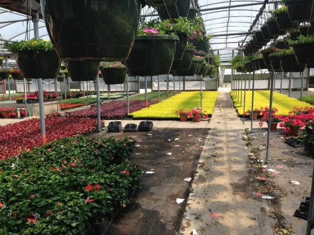 Rowe Landscape Installation, LLC - Photo 3