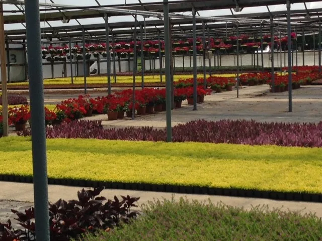 Rowe Landscape Installation, LLC - Photo 4