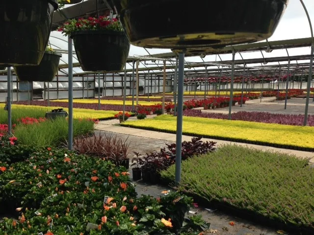 Rowe Landscape Installation, LLC - Photo 8