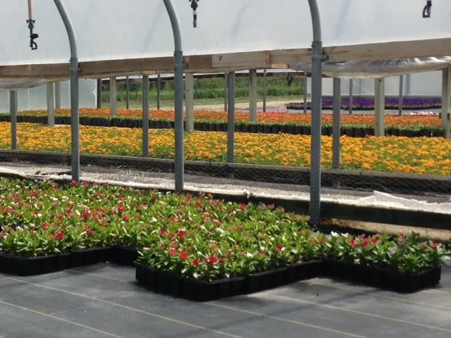 Rowe Landscape Installation, LLC - Photo 11