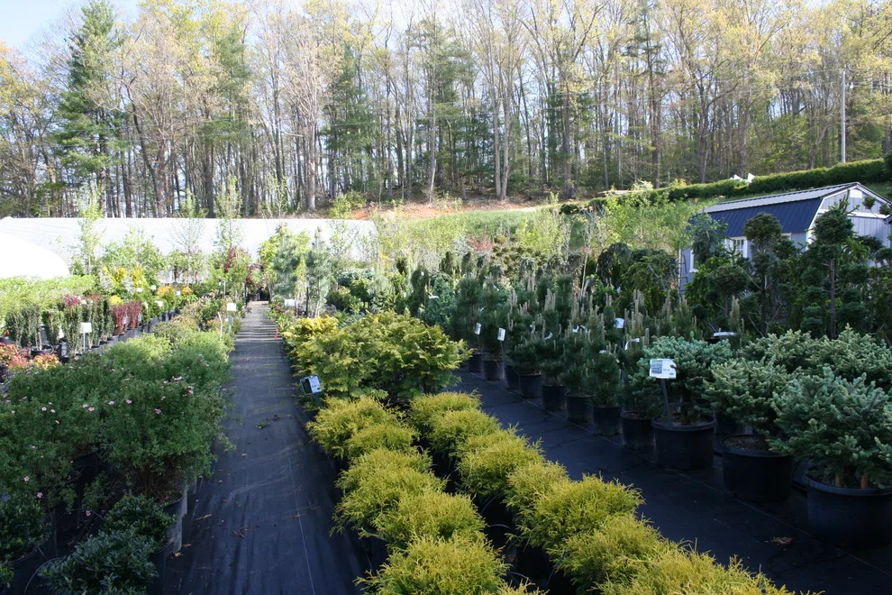Our Garden by Mountain View Nursery And Landscaping, LLC - Photo 6