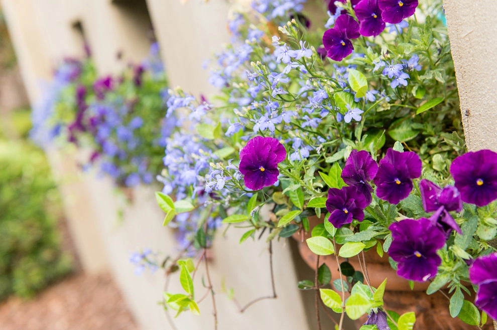 Formal Roots by Carolina Landscape, Inc. - Photo 26