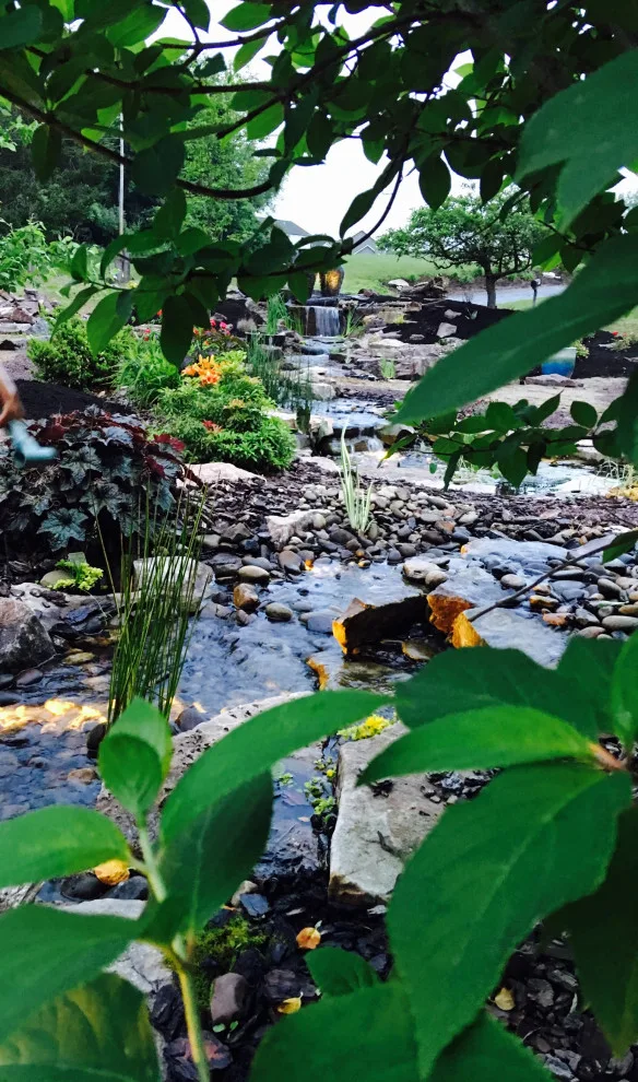 Our Garden Hub by Shaylor's Ponds & Patios - Photo 4