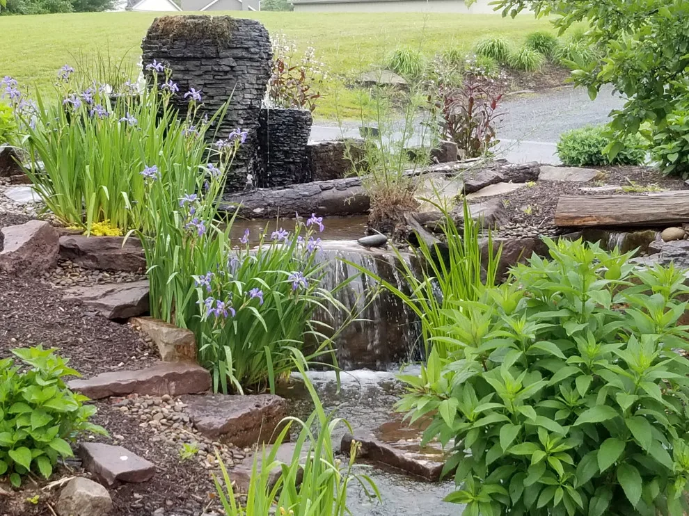 Our Garden Hub by Shaylor's Ponds & Patios - Photo 7