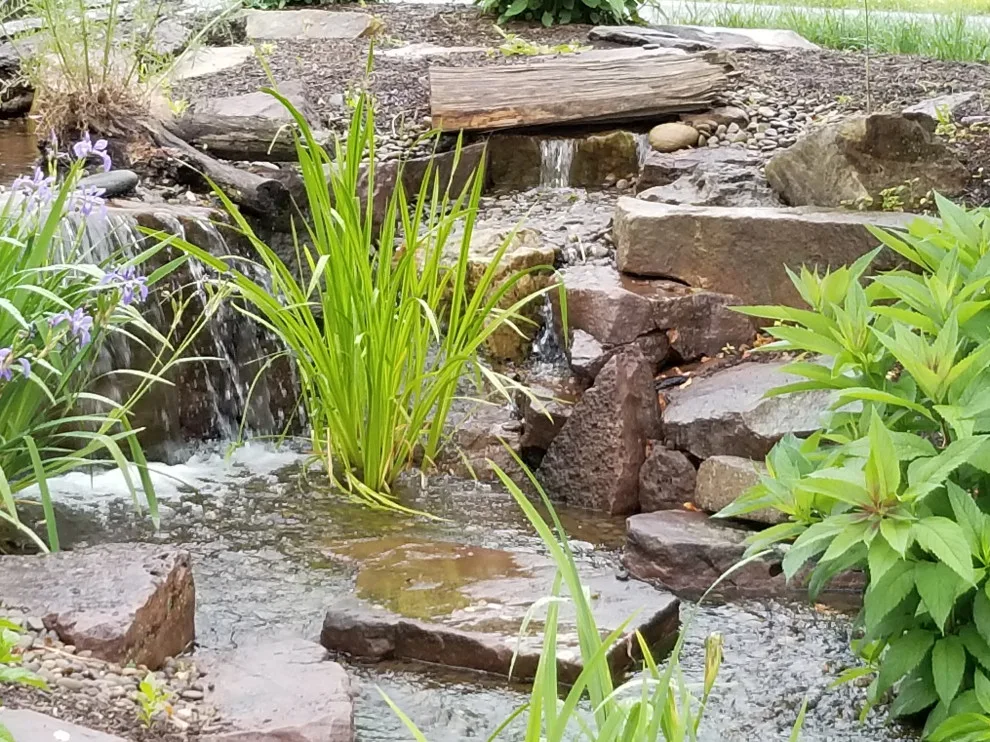 Our Garden Hub by Shaylor's Ponds & Patios - Photo 3