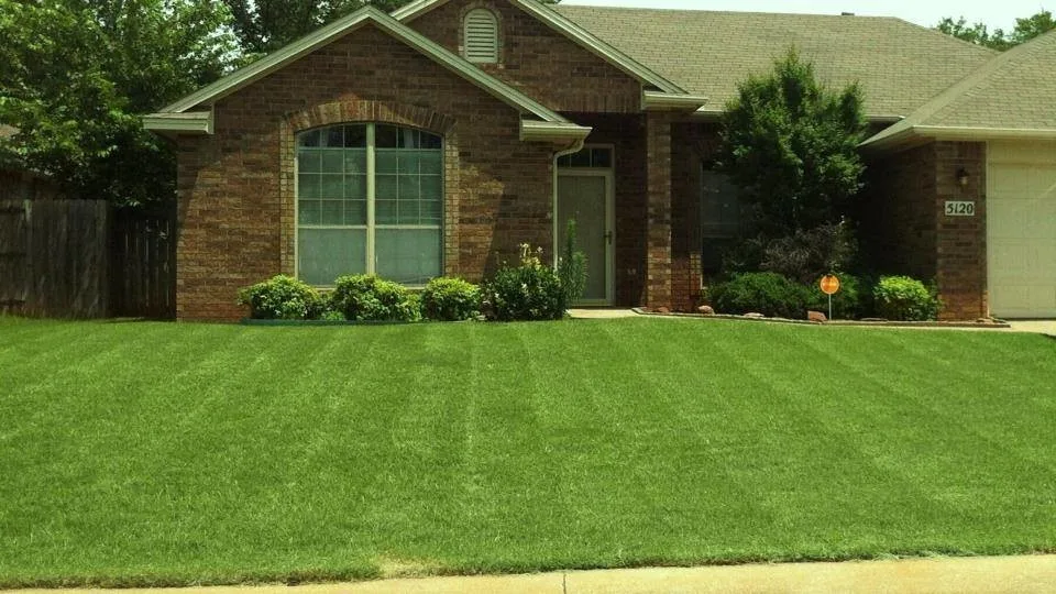Our Greens by Greenmaster Landscape Contractors - Photo 15