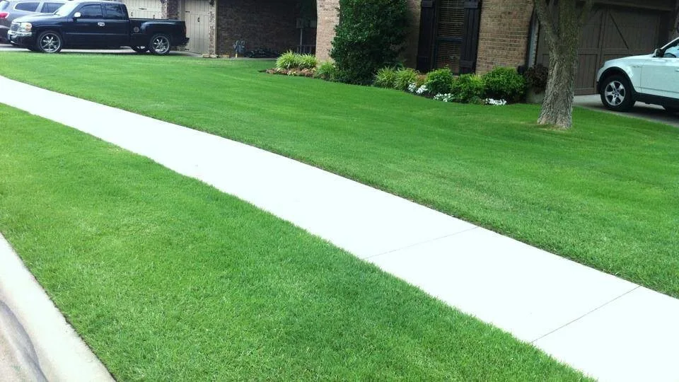 Our Greens by Greenmaster Landscape Contractors - Photo 12
