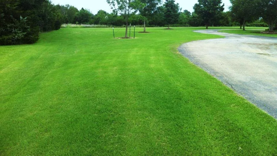 Our Greens by Greenmaster Landscape Contractors - Photo 14