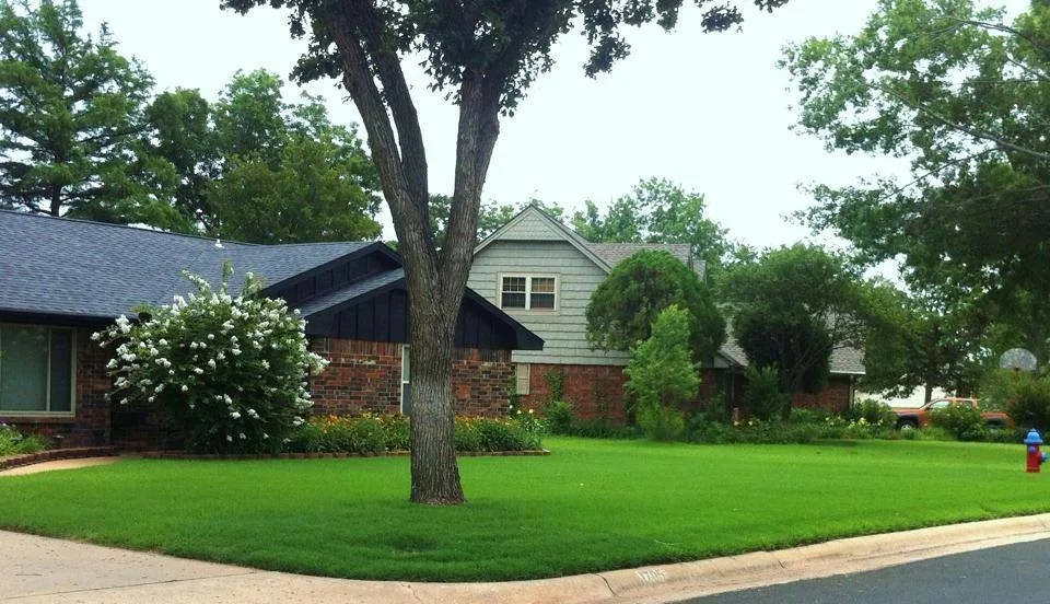 Our Greens by Greenmaster Landscape Contractors - Photo 16
