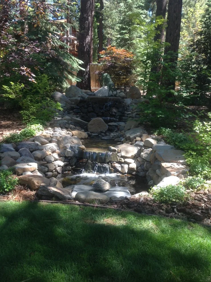 Aquatic Installations by 2 Crazy Gardeners Landscaping - Photo 2