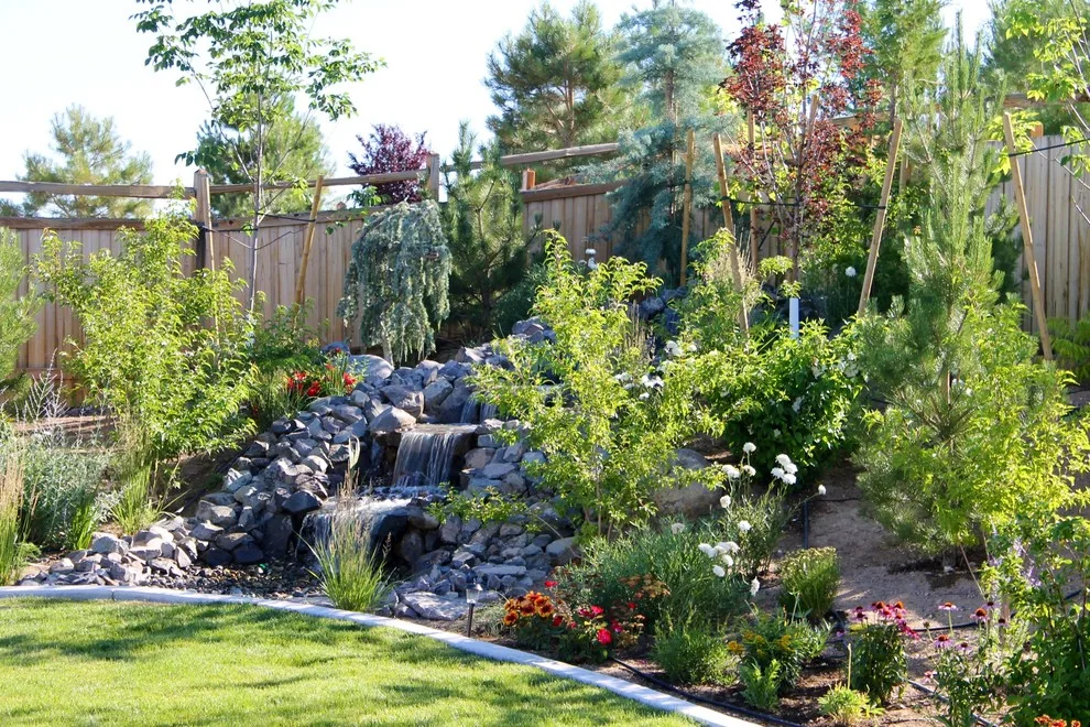 Aquatic Installations by 2 Crazy Gardeners Landscaping - Photo 3