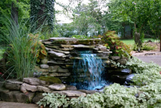 HCW Landscaping & Maintenance - Photo 8