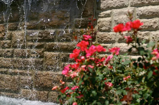 HCW Landscaping & Maintenance - Photo 2