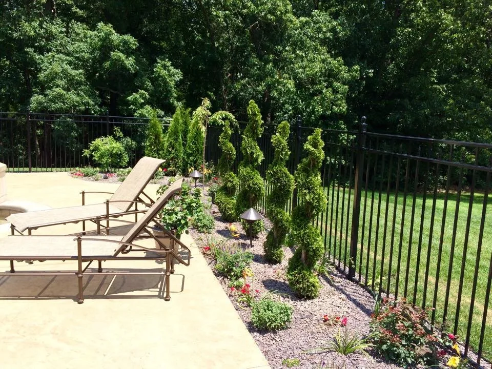 Vision Landscape Design - Photo 12
