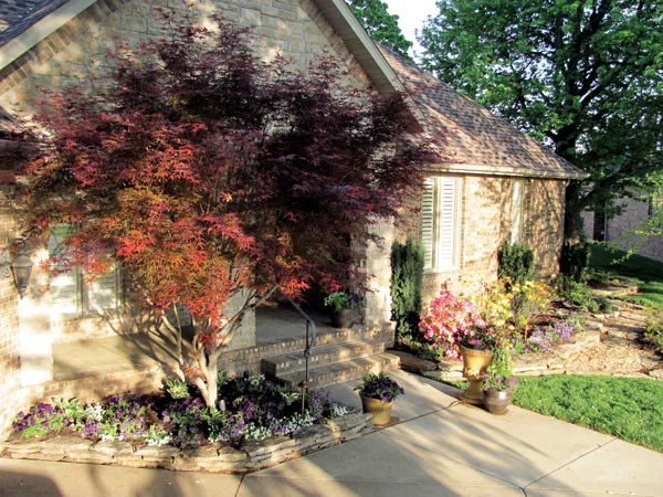 Vision Landscape Design - Photo 6