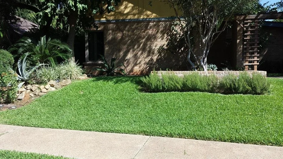 Al Alva Sales & Landscaping L.L.C - Photo 3