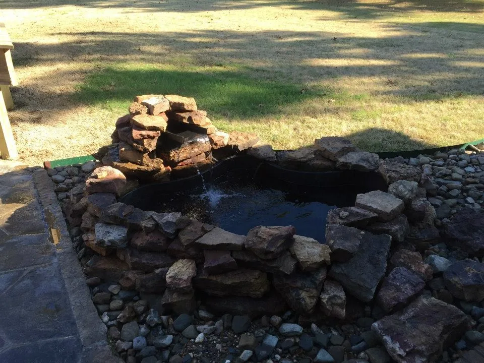 Express Tree & Landscaping - Photo 12