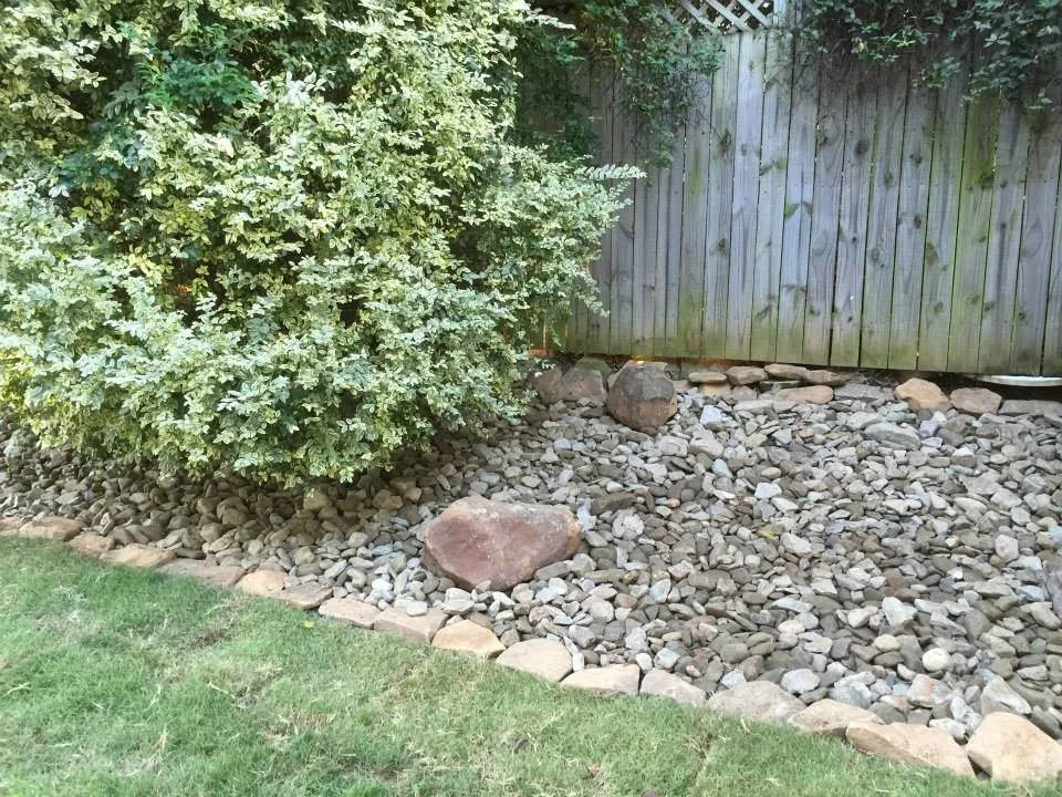 Express Tree & Landscaping - Photo 4