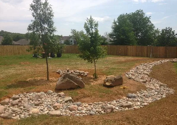 Express Tree & Landscaping - Photo 5