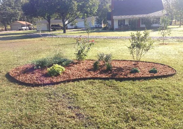 Express Tree & Landscaping - Photo 8