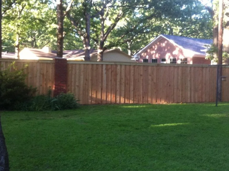 Express Tree & Landscaping - Photo 2