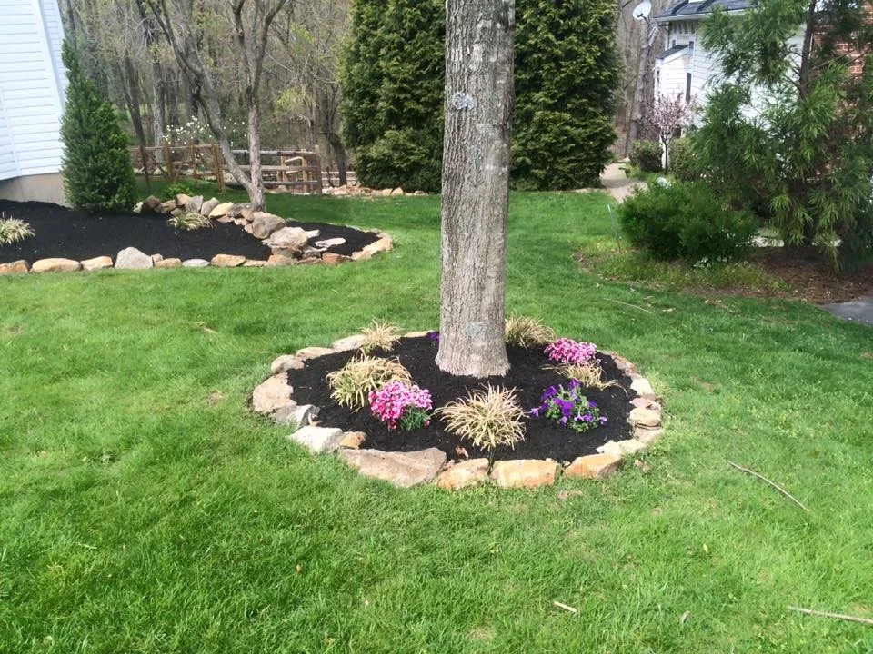 Lawn & Order Lawn Care - Photo 10