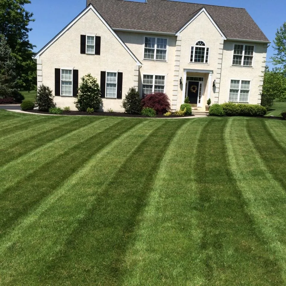 Lawn & Order Lawn Care - Photo 7
