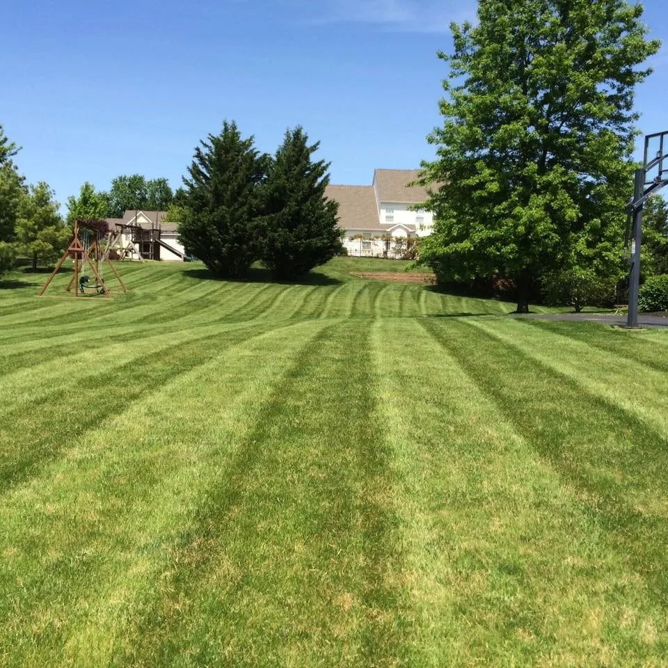 Lawn & Order Lawn Care - Photo 5