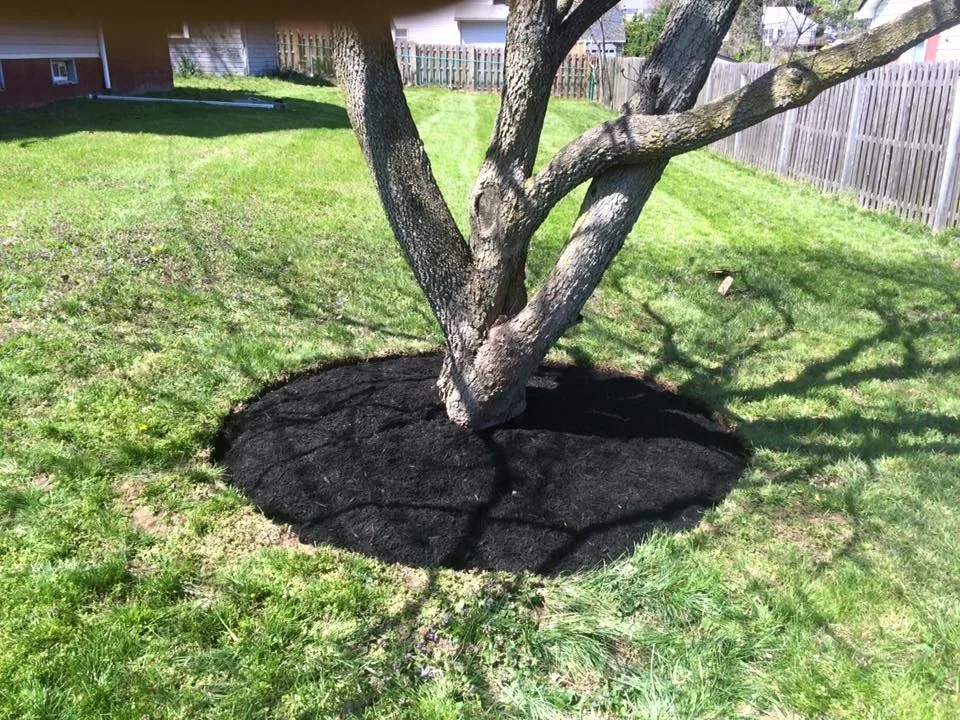 Lawn & Order Lawn Care - Photo 8