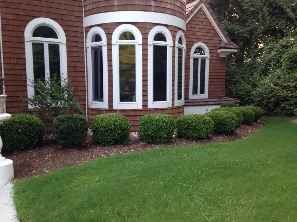 Green Gator Lawn Care - Photo 8