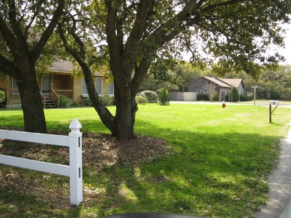 Green Gator Lawn Care - Photo 7