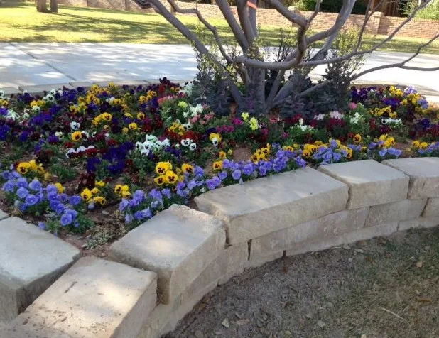 Our Efforts by Turf Specialties, Inc - Photo 3