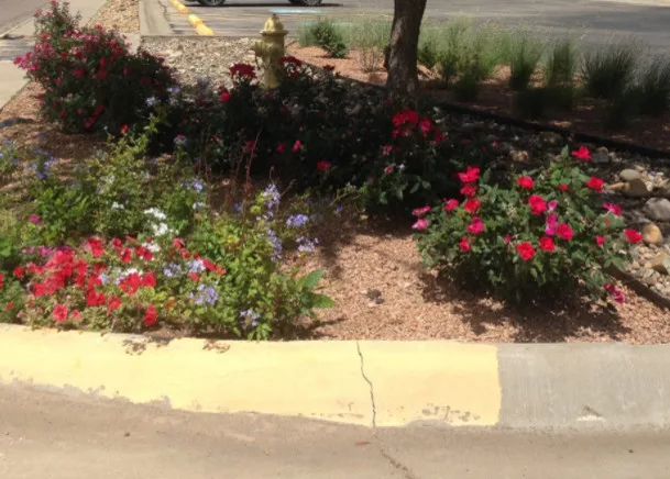 Our Efforts by Turf Specialties, Inc - Photo 8