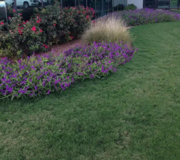 Our Efforts by Turf Specialties, Inc - Photo 6