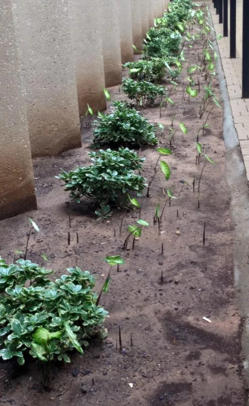 Our Efforts by Turf Specialties, Inc - Photo 7