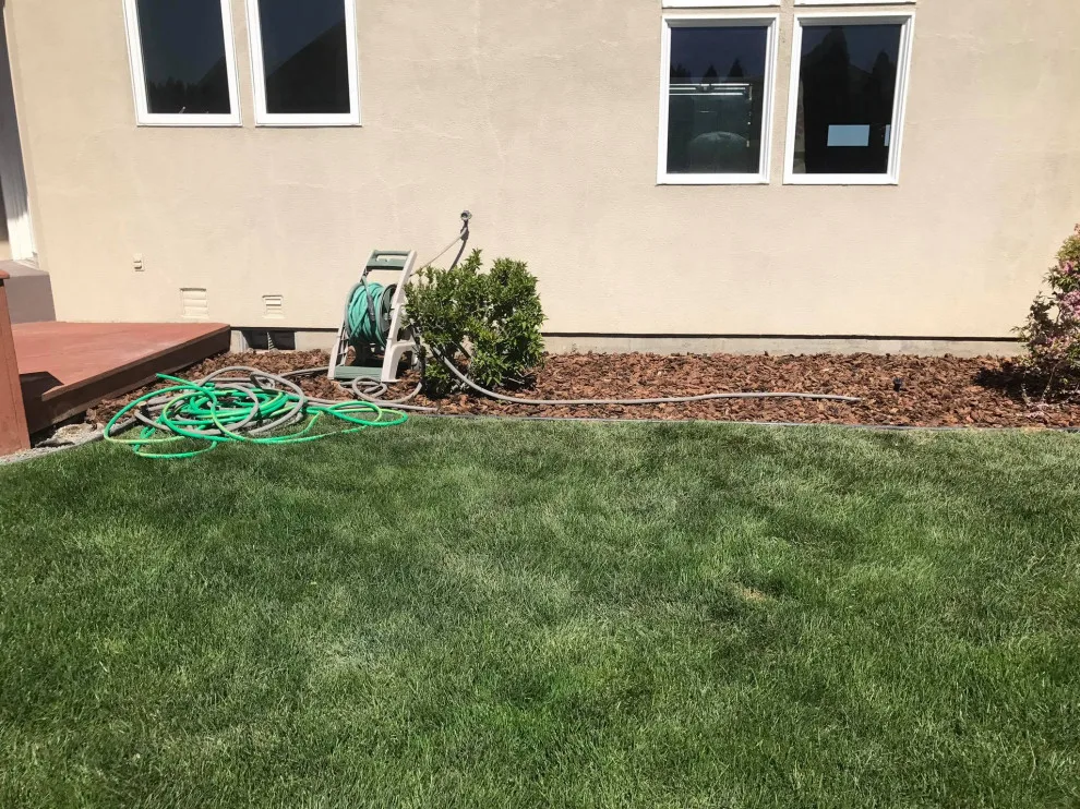 Our Efforts by Bonafide Landscaping - Photo 12