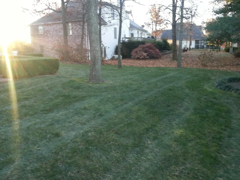 Quality Lawn - Photo 5